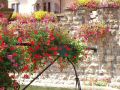 Fontaine - Fleurs 500p.jpg
